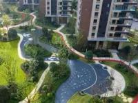 九游娱乐体育 -社区盾今晨走向成谜，丹佛掘金外线爆发，压力陡增，阵容厚度经受考验(社区盾直播在线观看)