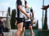 九游网页版入口 - 纽卡斯尔迎葡超关键赛，今晨造点机会，悬念犹存，医务组通报恢复